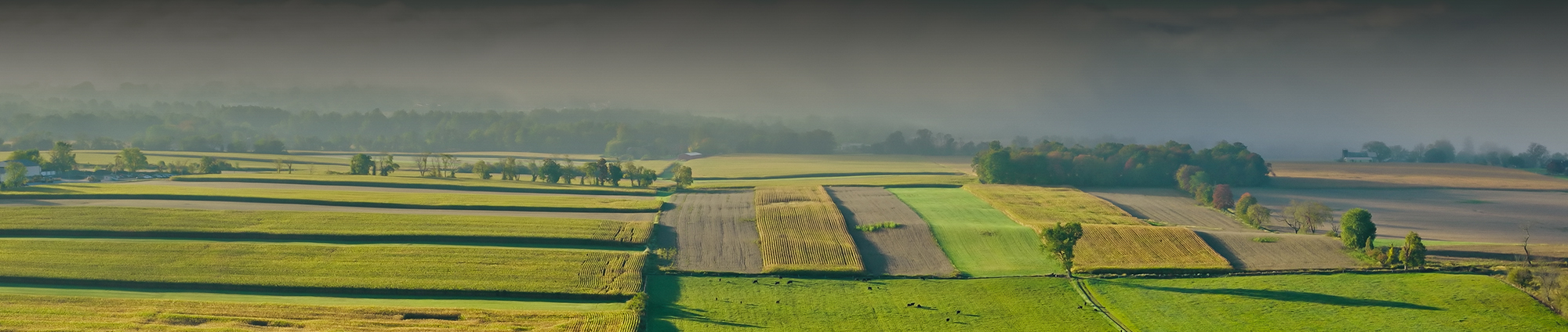 Security Solutions and Video Monitoring for Farms